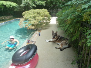 Timber chillin' by the pool.