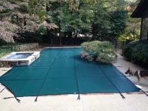 New Pool Cover